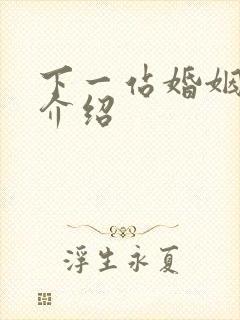 下一站婚姻剧情介绍