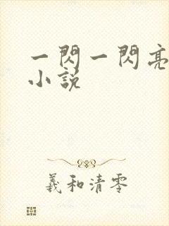 一闪一闪亮晶晶小说