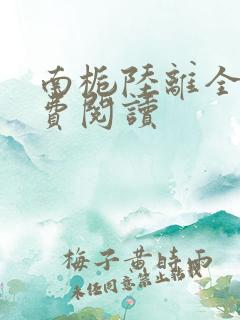 南栀陆离全文免费阅读