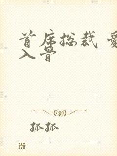 首席总裁 爱你入骨