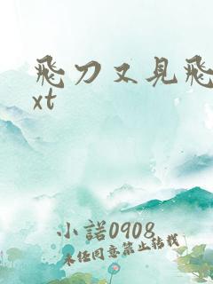 飞刀又见飞刀txt