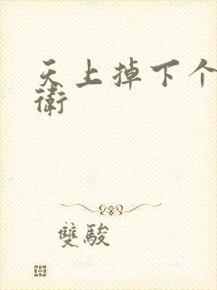 天上掉下个影卫卫