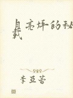 月亮坪的秘密下载