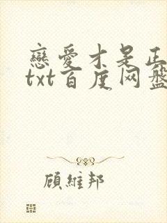 恋爱才是正经事txt百度网盘