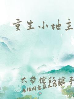 重生小地主u8