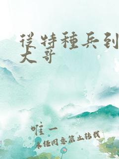 从特种兵到黑道大哥