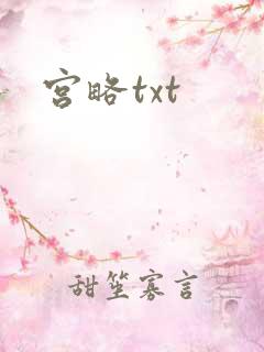宫略txt