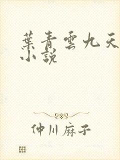 叶青云九天玄宗小说