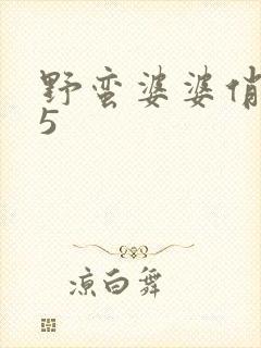 野蛮婆婆俏媳妇5