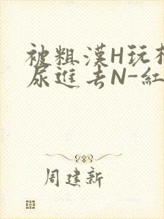 被粗汉H玩松了尿进去N-红-Q