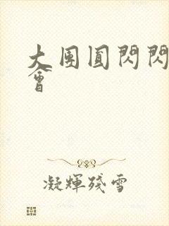 大团圆闪闪相亲会