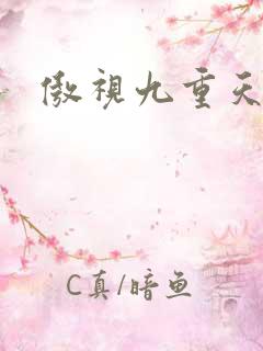 傲视九重天吧