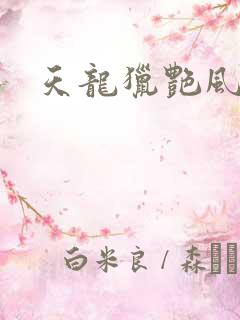 天龙猎艳风流