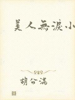 美人无泪小说
