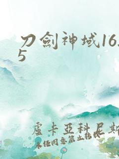 刀剑神域16.5