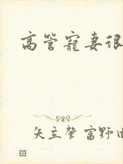 高管宠妻很丰满