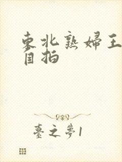 东北熟妇王梅娟自拍