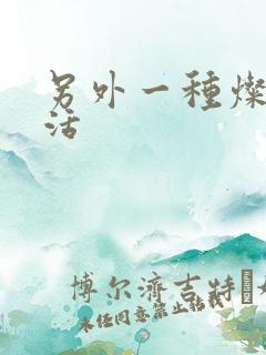 另外一种灿烂生活