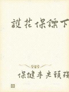 护花保镖下载
