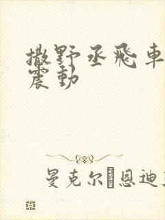 撒野丞飞车道具震动