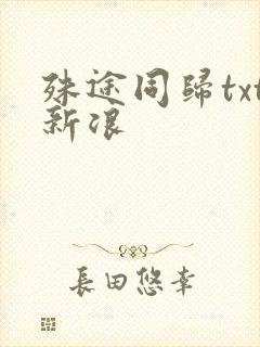 殊途同归txt新浪