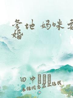 爹地 妈咪要逃婚