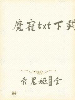 魔宠txt下载