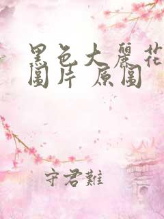 黑色大丽花真实图片 原图