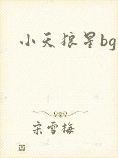 小天狼星bg