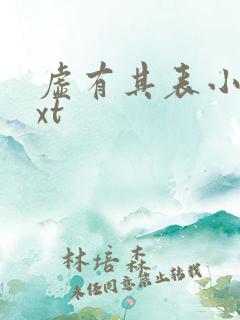 虚有其表小说txt