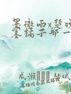 墨微雨x楚晚宁塞橘子哪一章