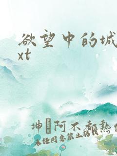 欲望中的城市txt