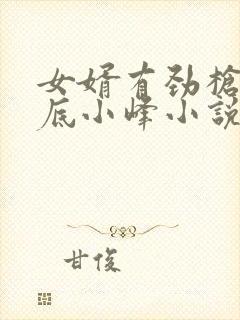 女婿有劲枪枪到底小峰小说