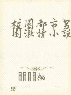 校园都市另类校园激情小说