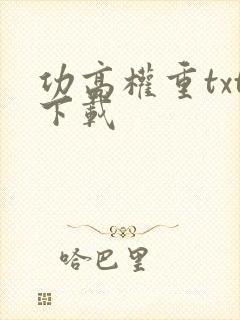 功高权重txt下载