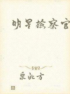 明星检察官小说