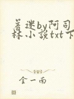 着迷by阿司匹林小说txt下载