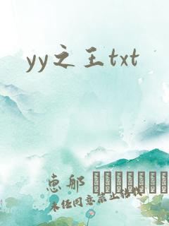 yy之王txt