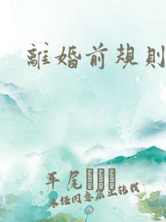 离婚前规则小说
