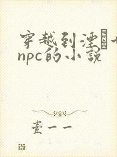 穿越到湮婸世界npc的小说