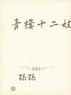 青楼十二妓