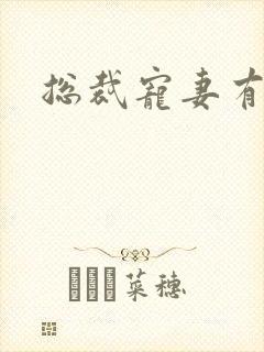 总裁宠妻有点忙