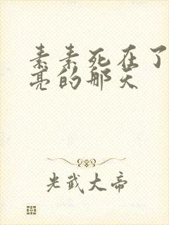 素素死在了最漂亮的那天