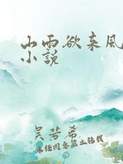 山雨欲来风满楼小说