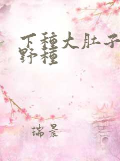 下种大肚子怀孕野种