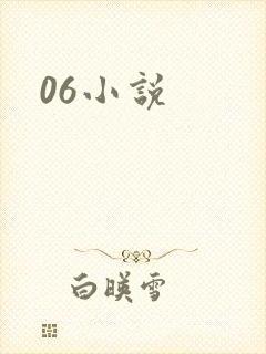 06小说
