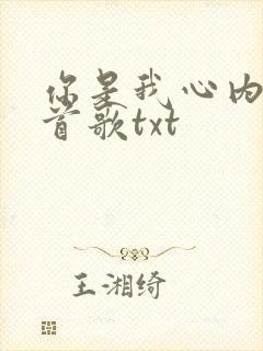 你是我心内的一首歌txt