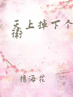 天上掉下个影卫卫