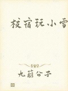 校宿玩小雪