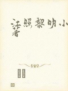 江照黎明小说原著